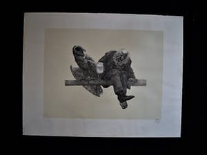 Peter Vos - bekend Utrechts Graficus & illustrator - Litho - "Oude man & uil" - VANAF 10€!!! kopen? Bied vanaf 10!