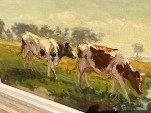 Fedor van Kregten - Koeien in een weiland kopen? Bied vanaf 1100!