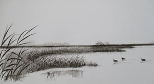 Ari Stolk - 4 landschappen met vogels kopen? Bied vanaf 1!