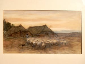 Willem Steelink (jr.) - schaapskudde naar de schaapskooi kopen? Bied vanaf 200!