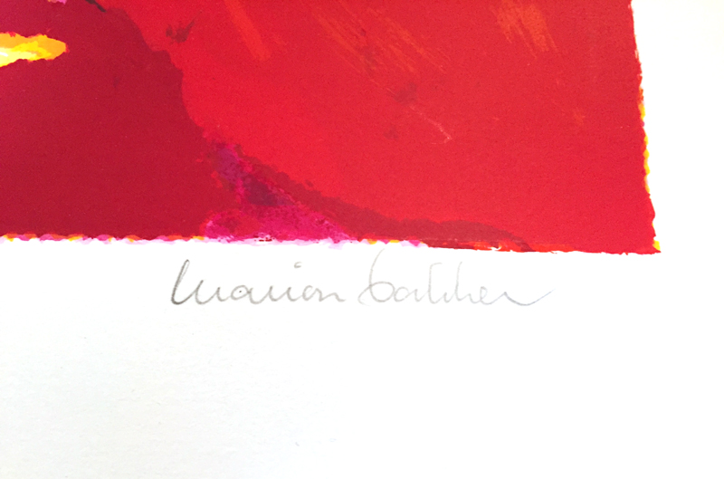 Marion Bakker - Burning landscape II kopen? Bied vanaf 55!