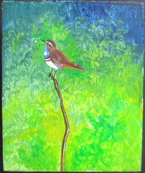 Ari Stolk - Zonder titel (Blauwborst ♂) kopen? Bied vanaf 1!