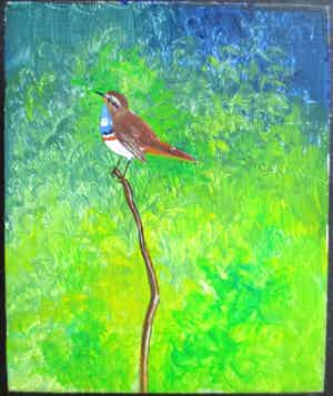 Ari Stolk - Zonder titel (Blauwborst ♂) verkocht voor € 1!