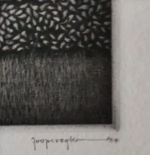 Joop Vegter - Achter de haag kopen? Bied vanaf 60!