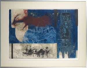 Ru van Rossem - Kleurenets, Afrikaans Dagboek IX - Ingelijst kopen? Bied vanaf 70!