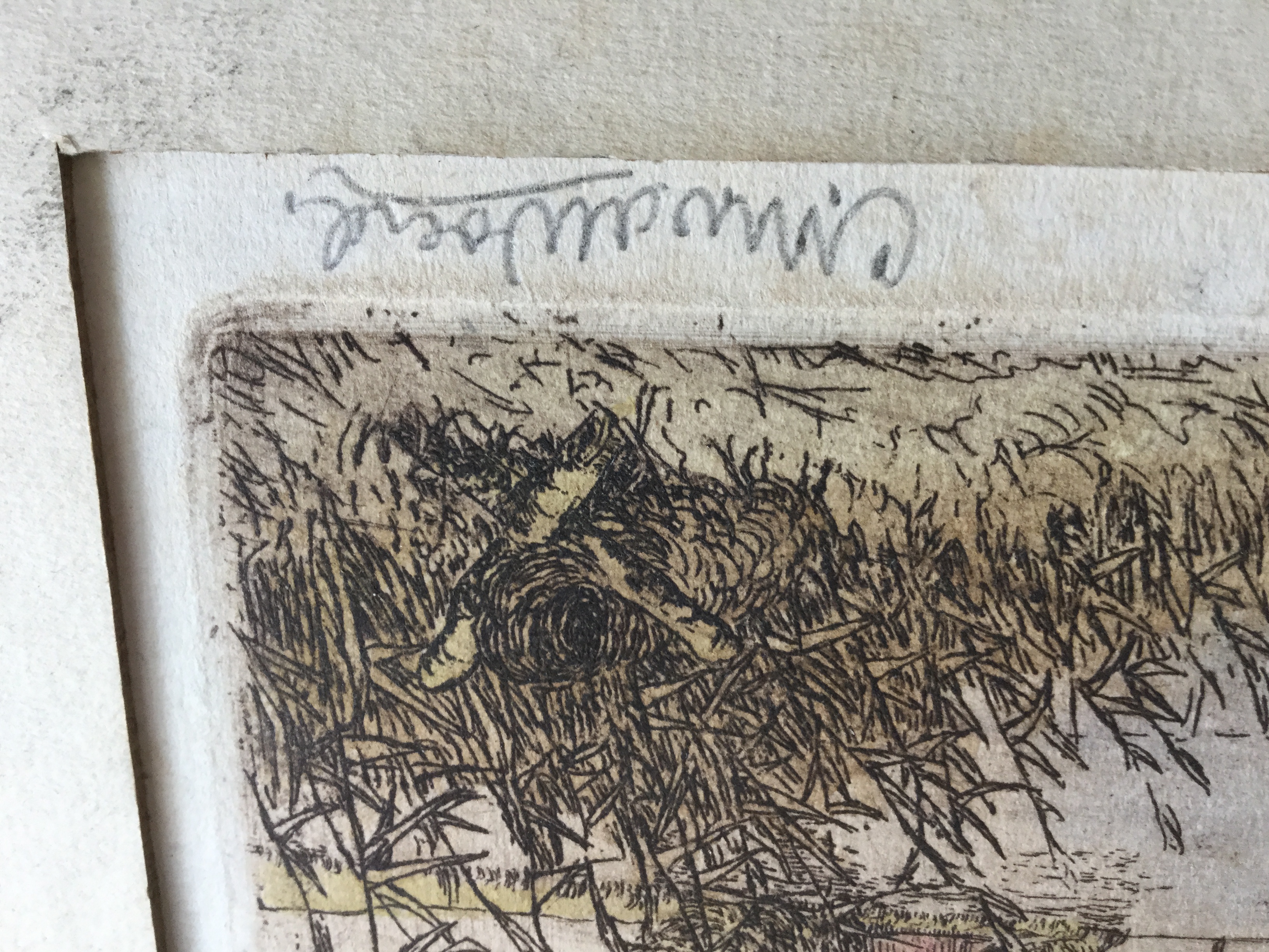 Cor van der Woerd - Grouw, aan het pikmeer. Originele ets kopen? Bied vanaf 20!