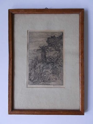 Jan Coenraad Nachenius - Boslandschap in Zuid-Afrika - 1921/1922 kopen? Bied vanaf 35!