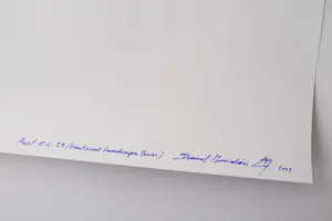 Imanol Marrodán - EL29 (Emotionale Landschaften) kopen? Bied vanaf 85!