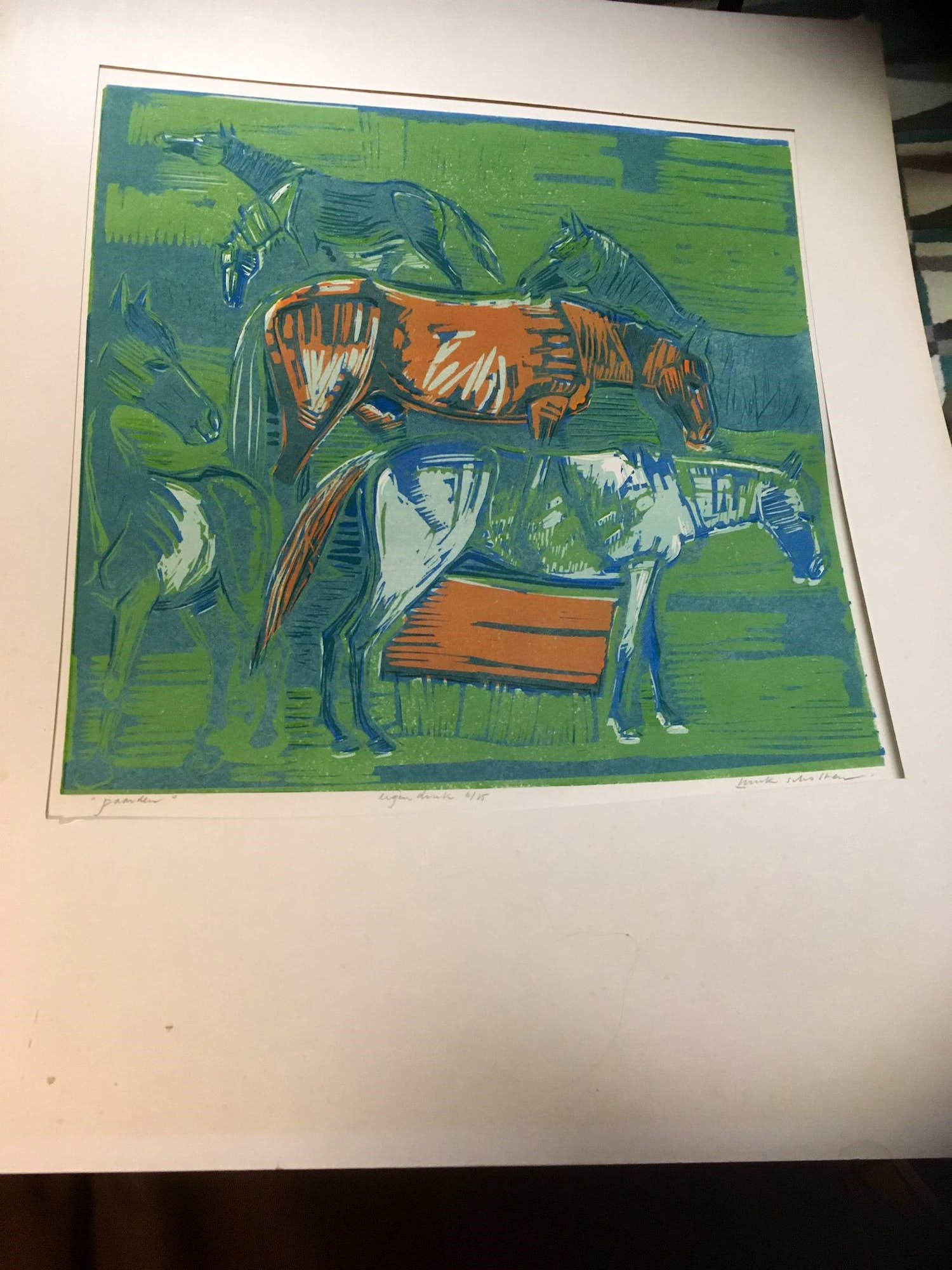 Henk Scholten - Paarden kopen? Bied vanaf 20!