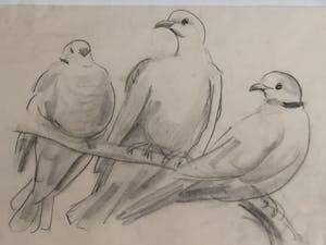 Engelien Reitsma-Valenca - Acht tekeningen van dieren in potlood of zwart krijt kopen? Bied vanaf 50!