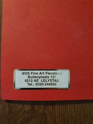 Robert Bosari - Bronzen beeld van staande dame kopen? Bied vanaf 1395!