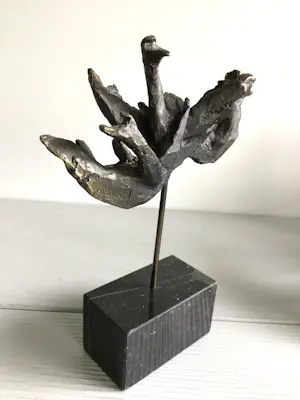 Bernadette Leijdekkers - “ Wilde Zwanen “ kopen? Bied vanaf 99!