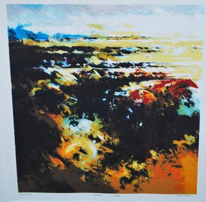 Mattie Schilders - 'Land' - zeefdruk uit 2006 kopen? Bied vanaf 40!