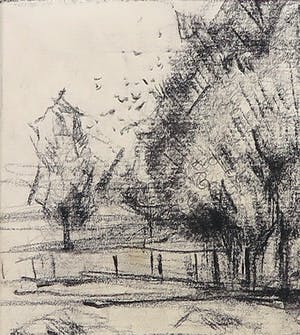 Wim Steijn - Krijttekening, Boslandschap kopen? Bied vanaf 1!