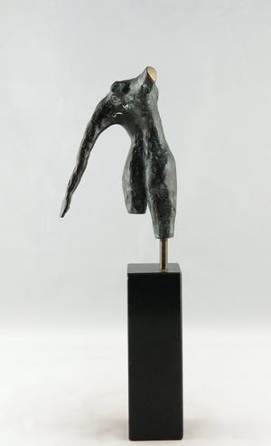 Ruurd Hallema - Brons, Yvonne kopen? Bied vanaf 100!