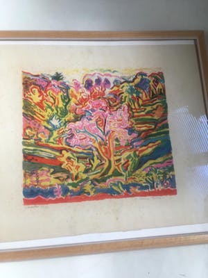 Suzanne Tourte - Amandelboom kopen? Bied vanaf 10!