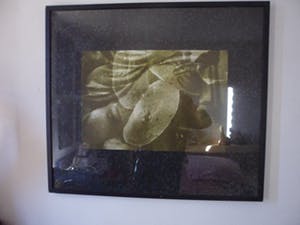 Titus Nolte - Zeefdruk, Titel ,"Groen". Ingelijst kopen? Bied vanaf 10!