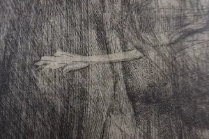 Ernst Fuchs - Ets, Engel - Ingelijst kopen? Bied vanaf 100!