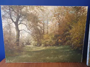 Frans Baaijens - Bos bij Vasse kopen? Bied vanaf 145!