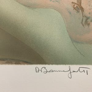 Alain Bonnefoit - Nu au sofa kopen? Bied vanaf 45!