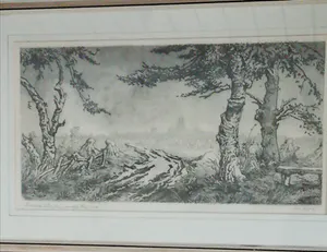 Toon de Jong - basilisk st jans kopen? Bied vanaf 25!