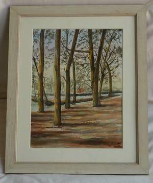 Niet of onleesbaar gesigneerd - Ingelijste aquarel , “Bosgezicht“ kopen? Bied vanaf 1!