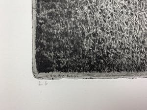 Charles Donker - ets - 'Eendekooi' - Definitieve VIIe staat - 1984 (GROOT) kopen? Bied vanaf 500!