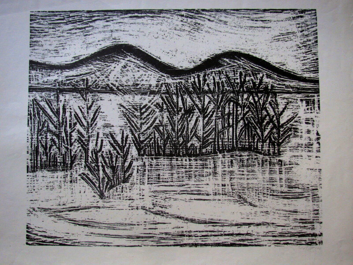 Werner Gothein - BODENSEE UFER . HOLZSCHNITT . Signiert verkocht voor € 100!