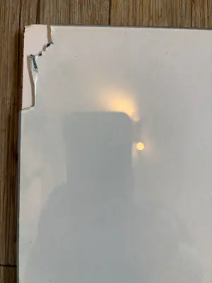 Margarita Nicolaas - Unieke stier in paars & blauw kopen? Bied vanaf 50!