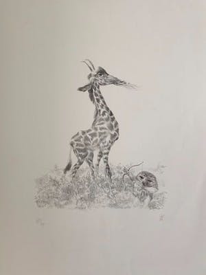 Peter Vos - De ontdekking van de giraffe kopen? Bied vanaf 35!