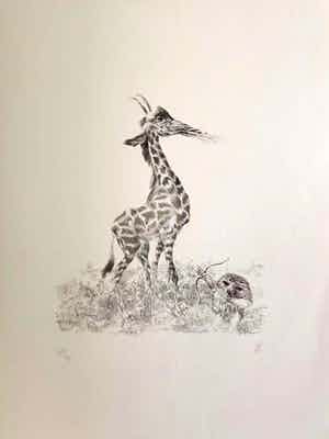 Peter Vos - De ontdekking van de giraffe verkocht voor € 35!