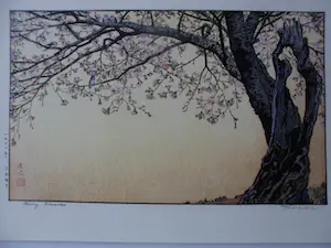 Toshi Yoshida - Japanse houtblokdruk . Kersenbloesem. kopen? Bied vanaf 45!