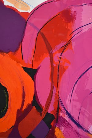 Frank Lejeune - Les Trois Belles kopen? Bied vanaf 25!