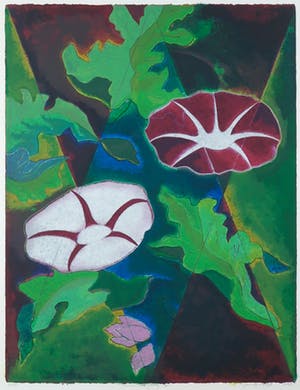 Jan van Delft - Zeefdruk, Morning glory II - Ingelijst kopen? Bied vanaf 1!