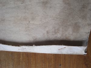 Niet of onleesbaar gesigneerd - Zittende vrouw kopen? Bied vanaf 10!