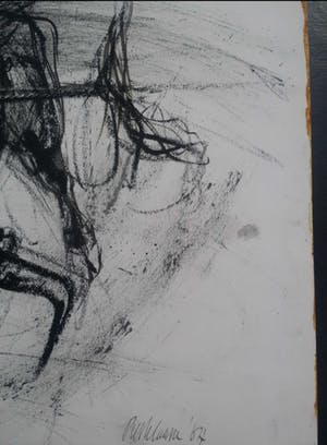 Piet Klaasse - Stier. Houtskool en waterverf. kopen? Bied vanaf 59!