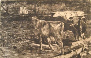 Willem de Zwart - Vier koeien in landschap. kopen? Bied vanaf 35!