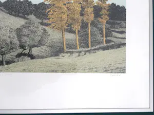 Sees Vlag - Geuldal kopen? Bied vanaf 70!