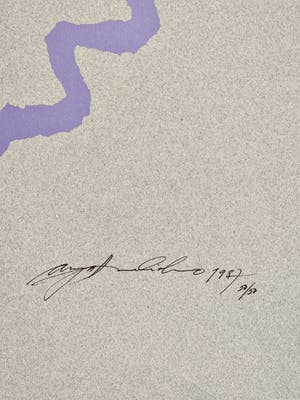 Niet of onleesbaar gesigneerd - Sea Shells kopen? Bied vanaf 1!