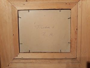 Renaat Saey - Protea's kopen? Bied vanaf 60!