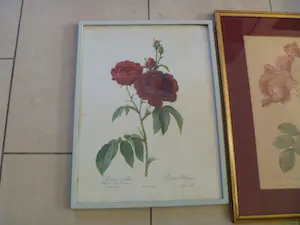 Pierre-Joseph Redoute - Drie ingelijste litho's Rozen kopen? Bied vanaf 26!