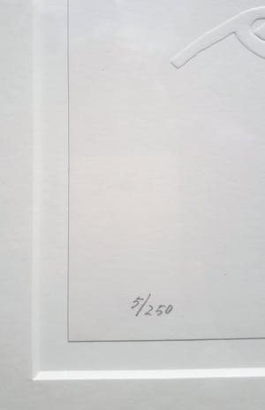 Jeroen Henneman - Beatrix, reliëfdruk (mooi ingelijst) kopen? Bied vanaf 250!