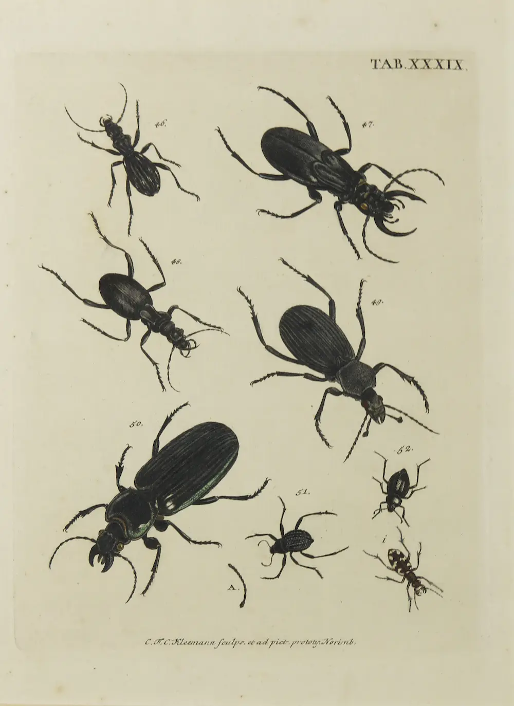 Christian F. Carl Kleemann (1735-1789)