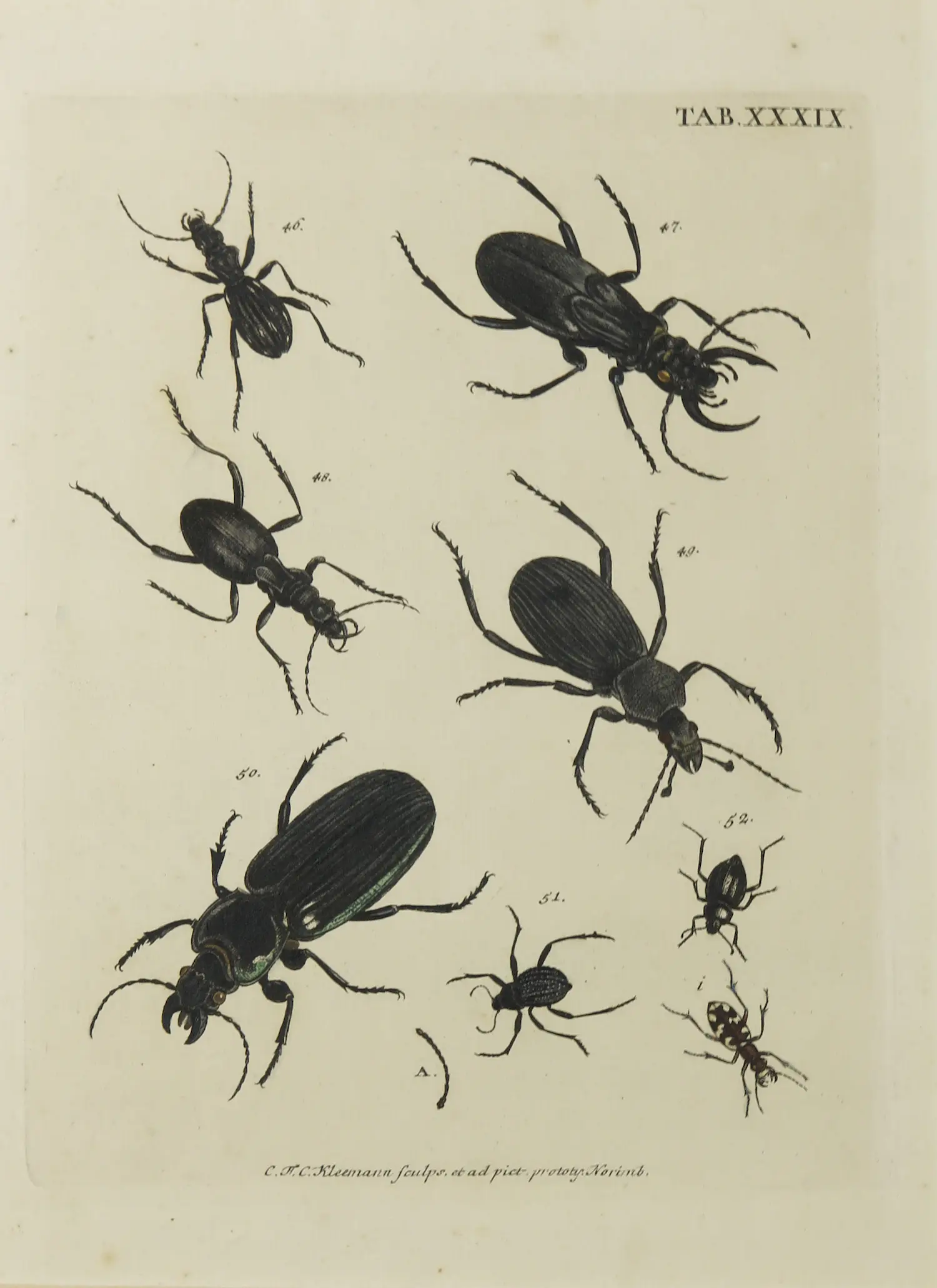 Christian F. Carl Kleemann (1735-1789)