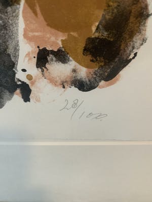 Ger Lataster - Karakteristieke Litho kopen? Bied vanaf 70!