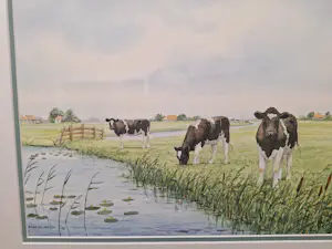 Wiebe A van der Zee - Koeien in de Wei kopen? Bied vanaf 125!