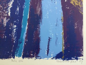 Theodora Plas - "Only you" (1987) | kleuren zeefdruk - ingelijst kopen? Bied vanaf 35!