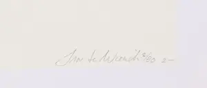 Jan te Wierik - Zonder titel kopen? Bied vanaf 50!