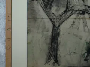 Jan Meijer - Ingelijste gouache , Kurkeikenbomen in Collioure - 1950 kopen? Bied vanaf 200!