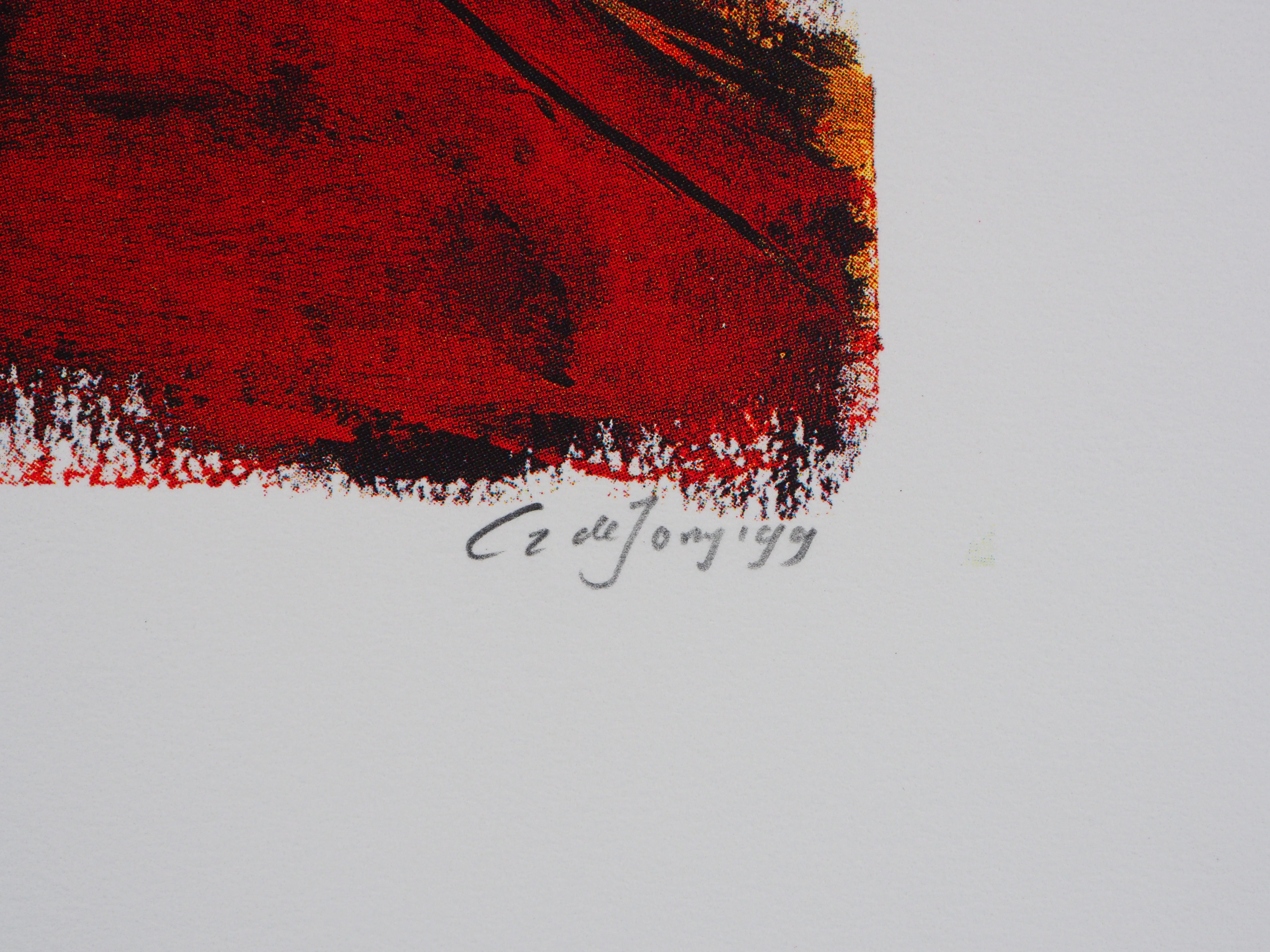 Cor de Jong - Contemplation kopen? Bied vanaf 20!